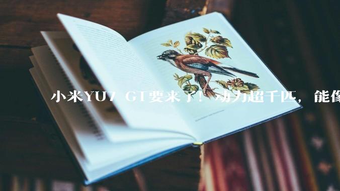 小米YU7 GT要来了！动力超千匹，能像SU7 Ultra一样火爆？_市场_性能_矩阵化